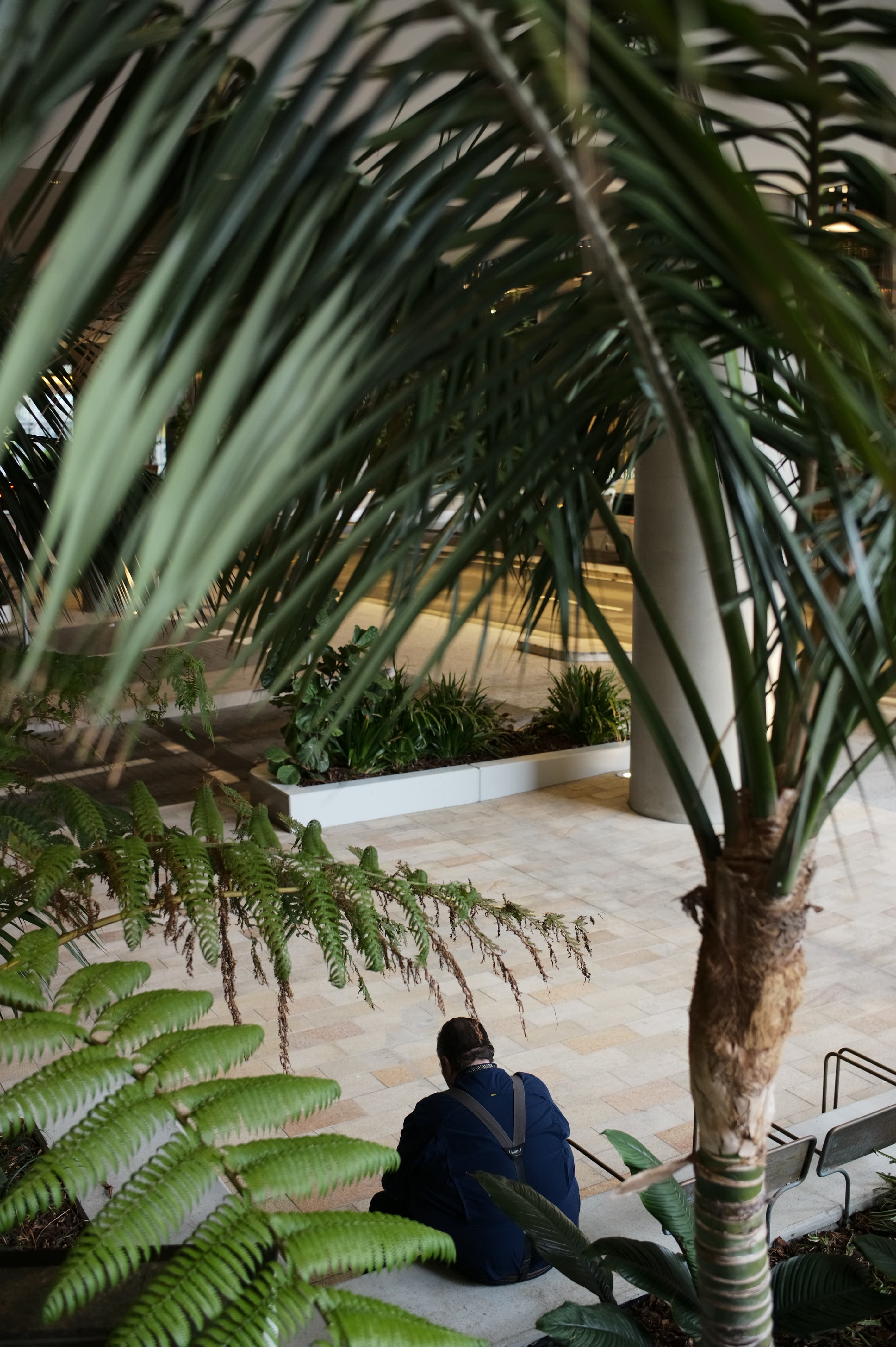 QLD Queens Wharf Sue Wang 26