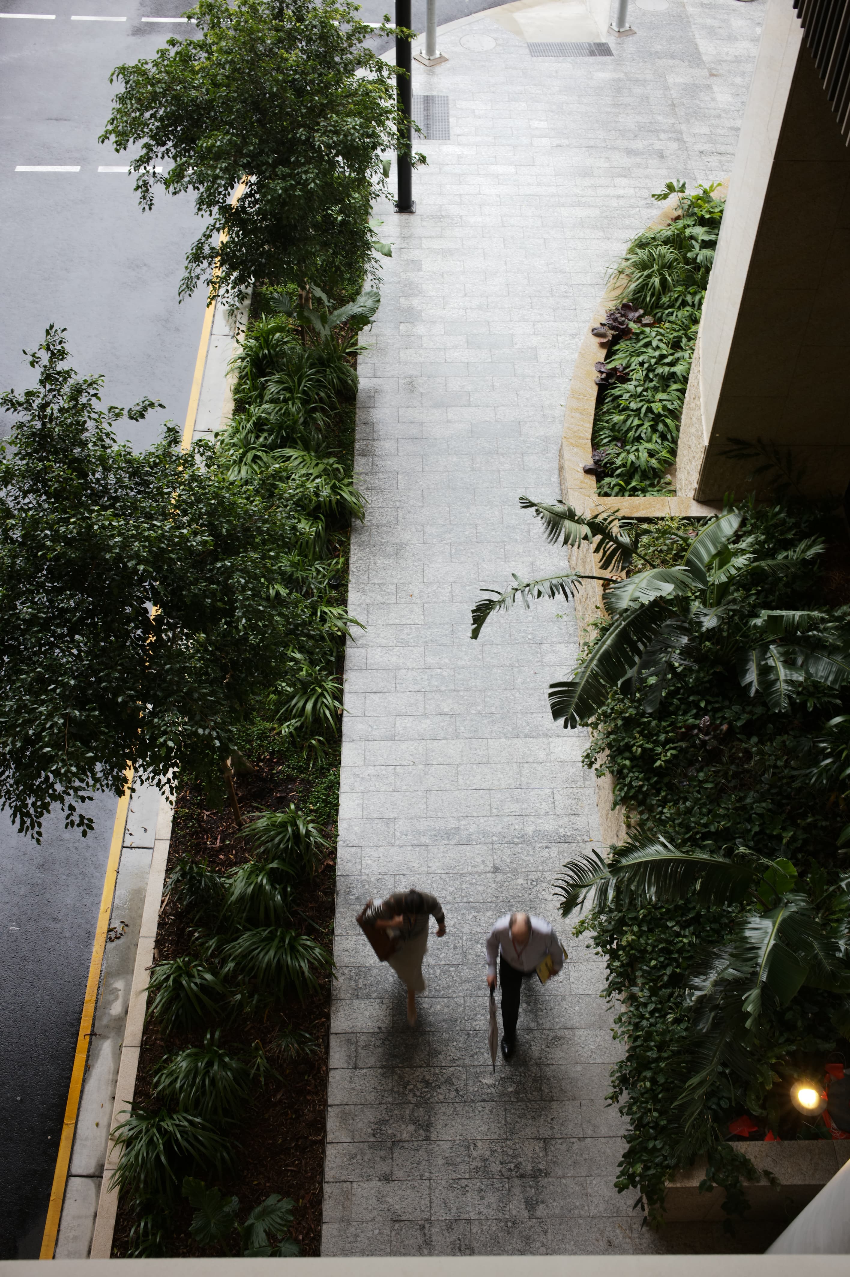 QLD Queens Wharf Sue Wang 41