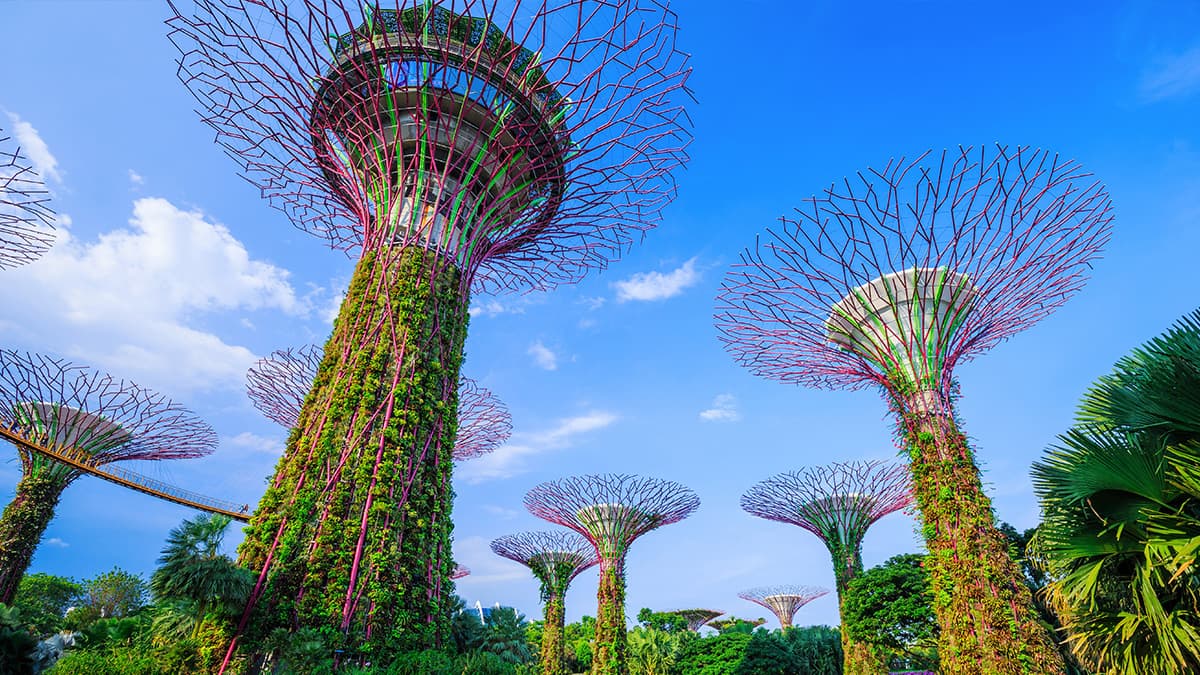 Cistri Perspectives Singapore Secrets Content01