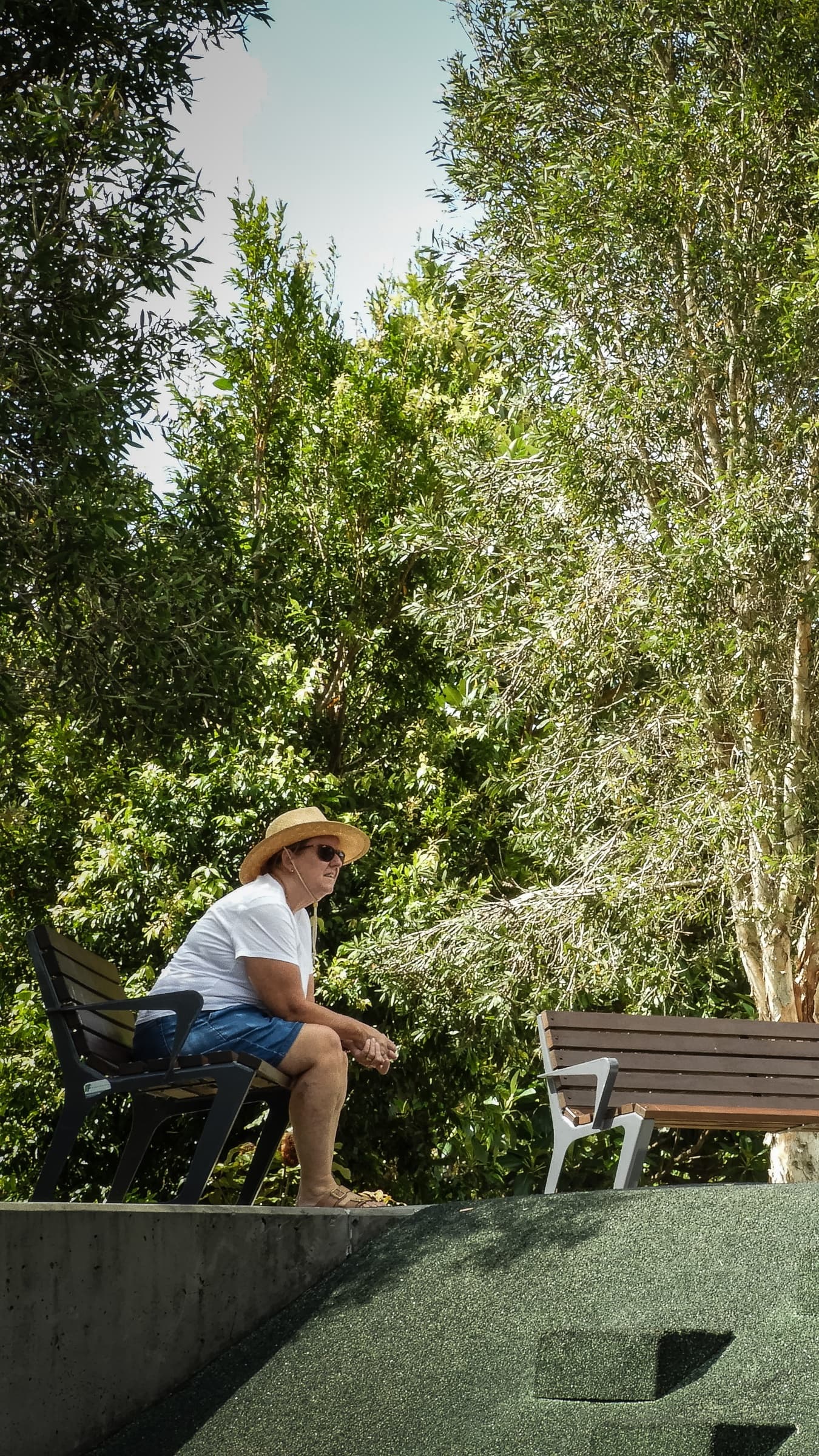 Urbis Aura Fig Tree Park 2