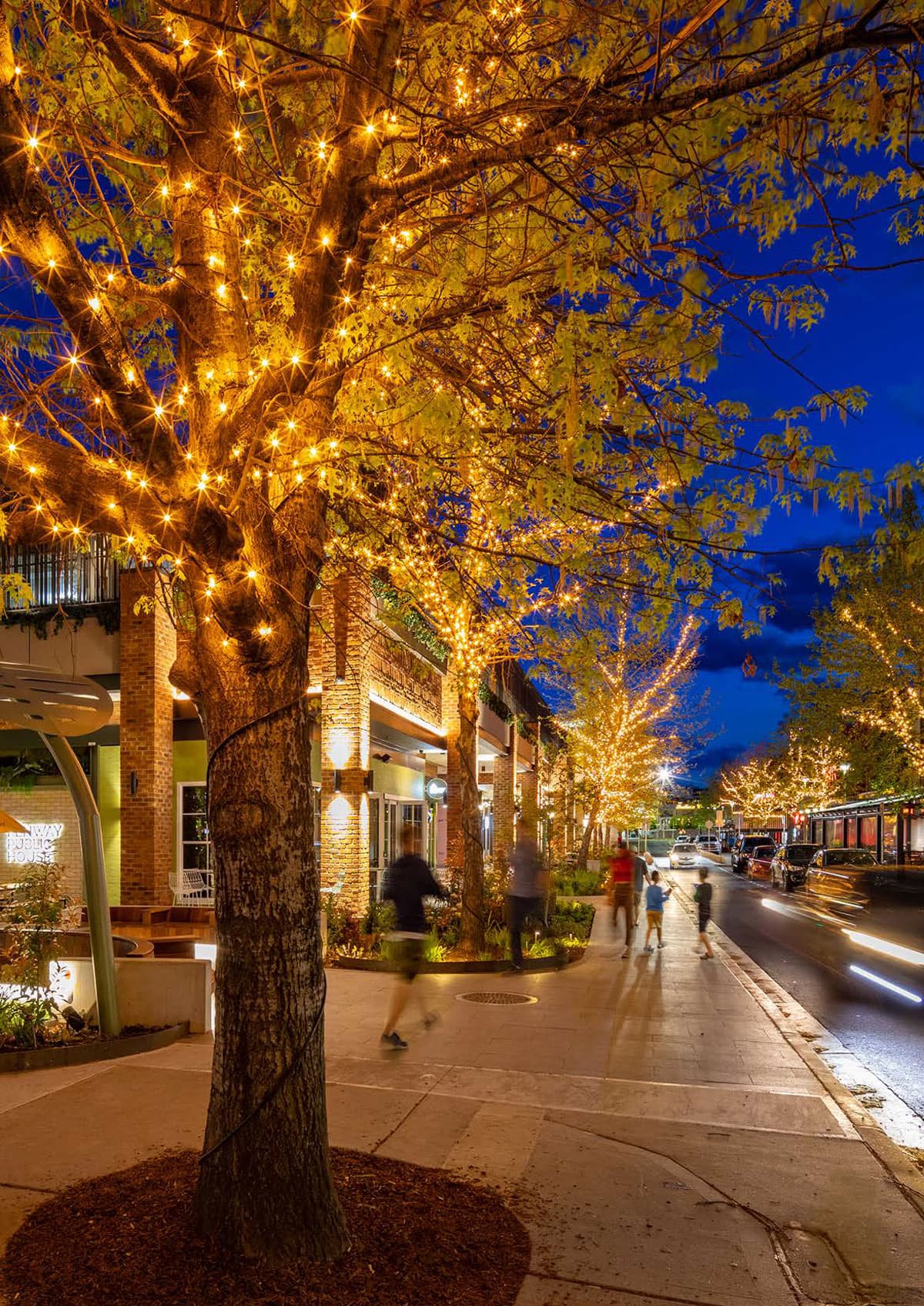 ACT Guide Gallery 02