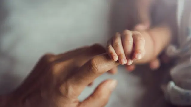 Adobestock 373461432 1024X683