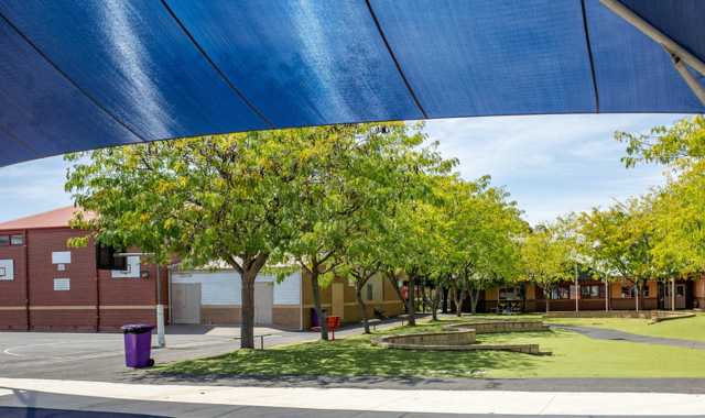 Education Newsletter Term 2 2026 Website Header