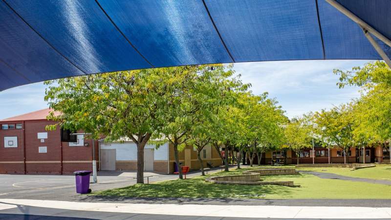 Education Newsletter Term 2 2026 Website Header