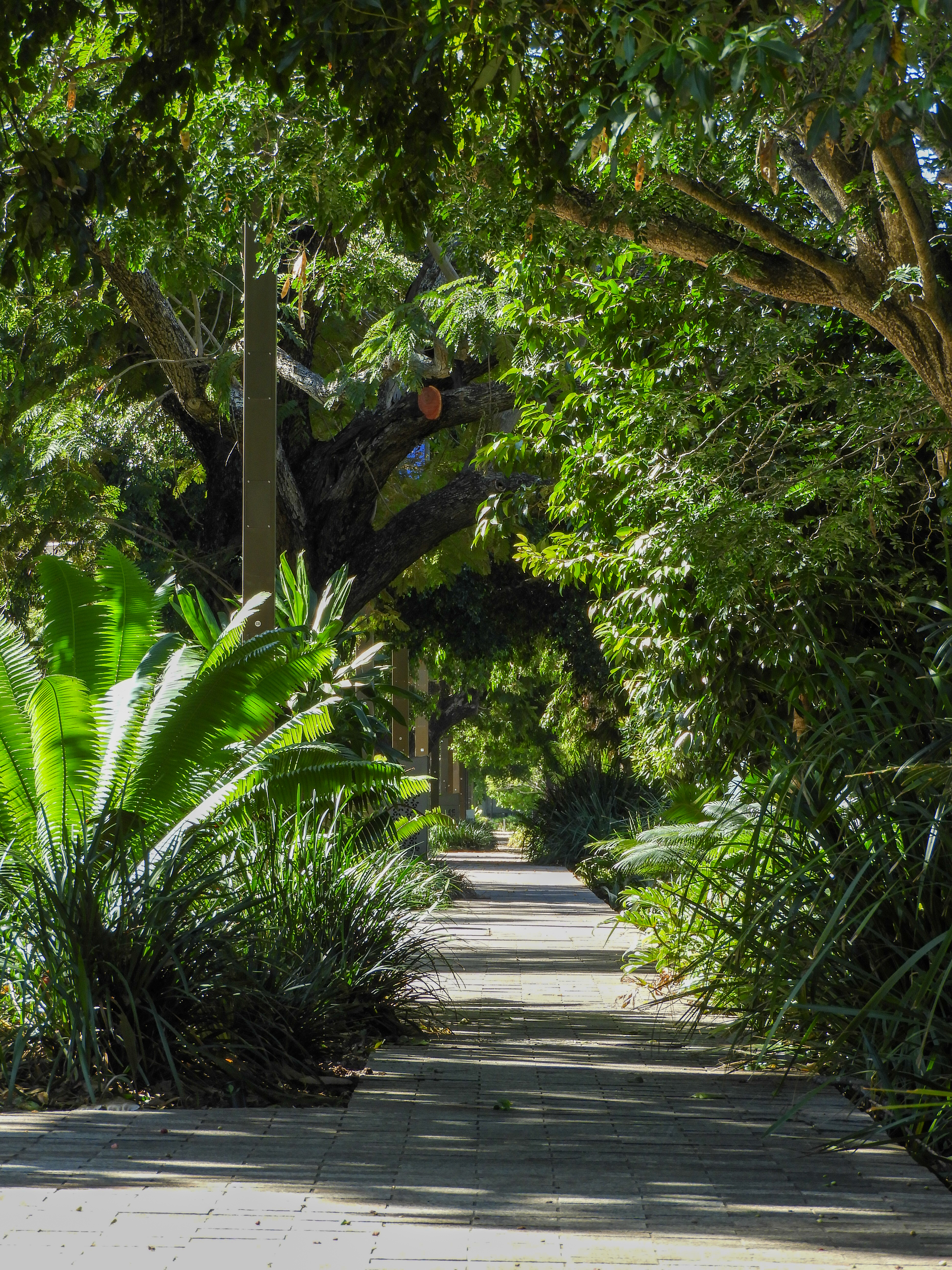 QLD Rockhampton Riverside 20