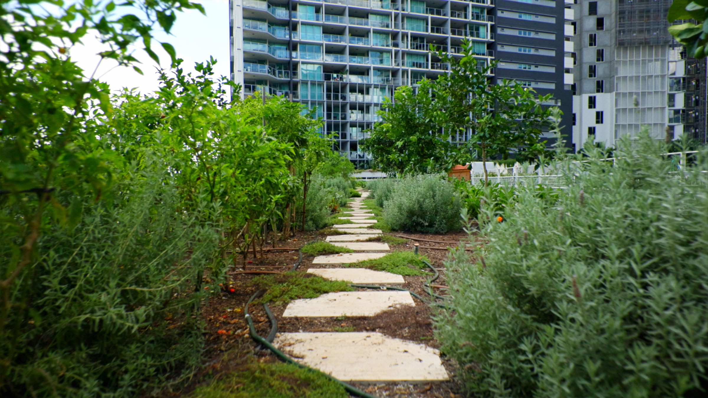 Urbis Perspectives Greening Hero