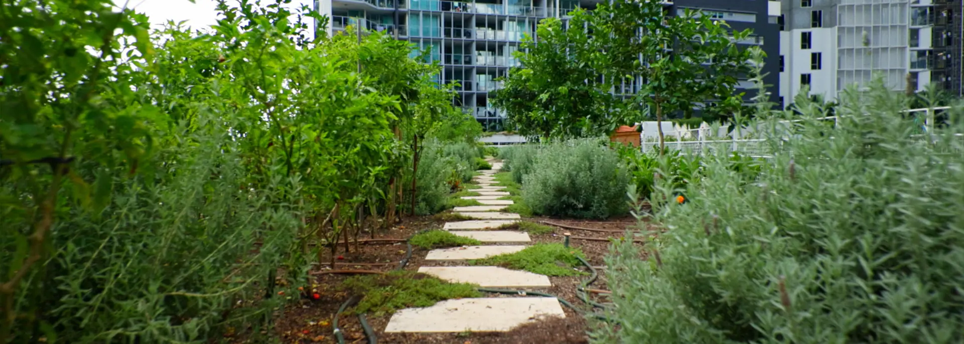 Urbis Perspectives Greening Hero