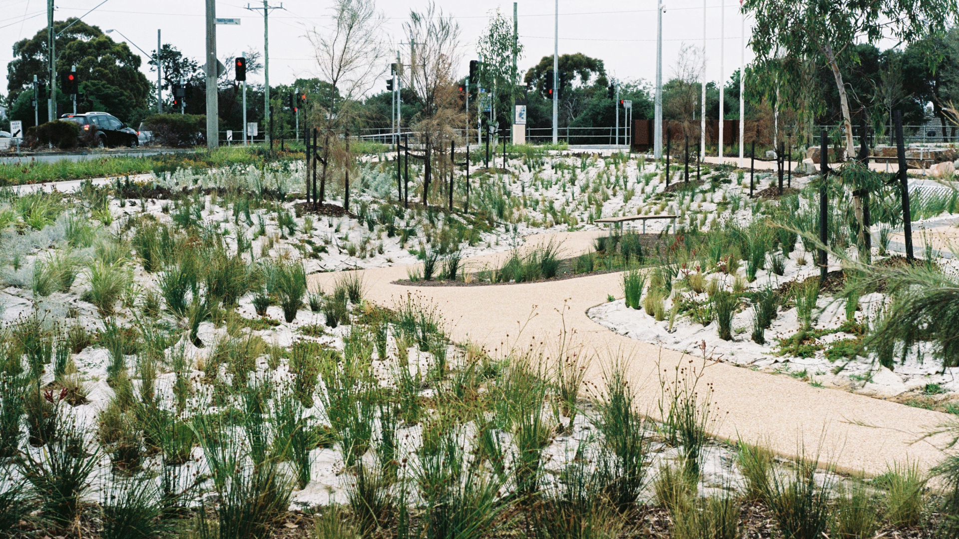 Header and content image- Frankston Hospital-5.png