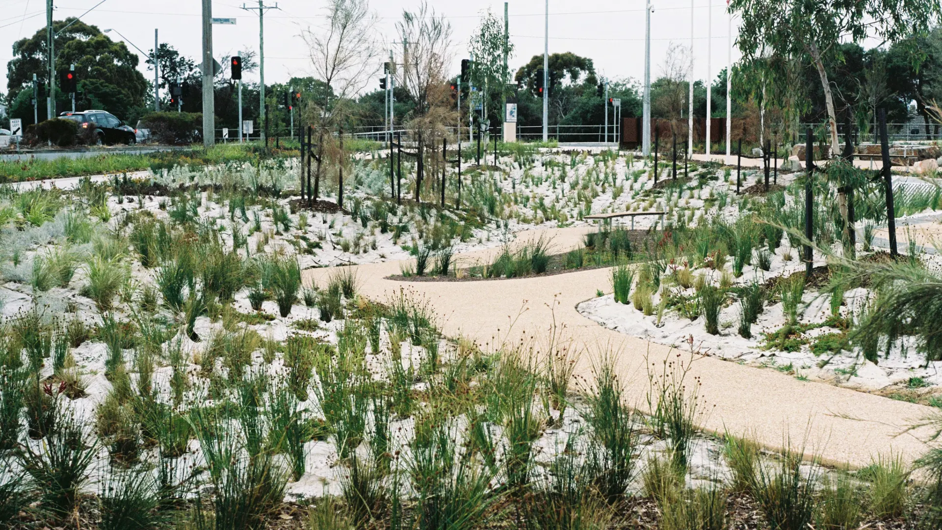 Header and content image- Frankston Hospital-5.png