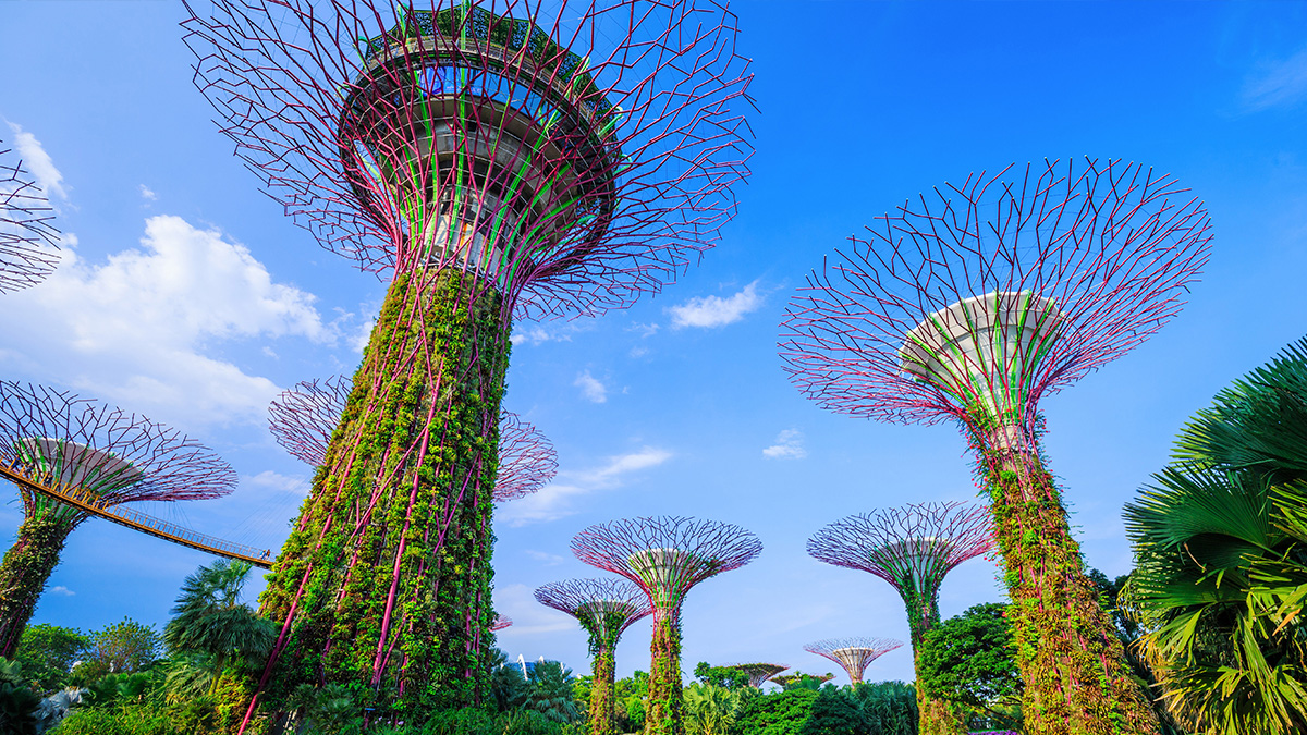 Cistri Perspectives Singapore Secrets Content01