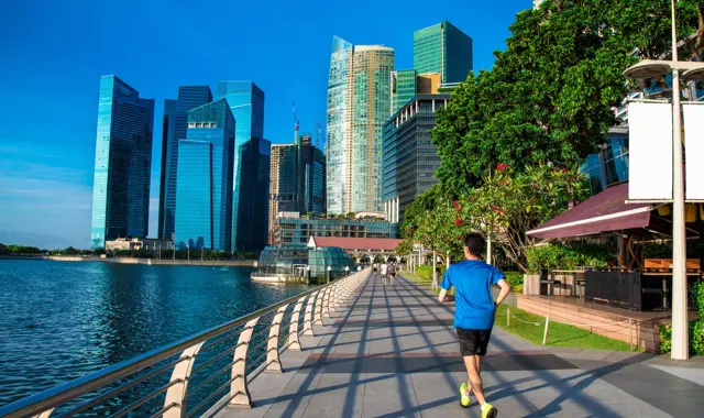 Cistri Perspectives Singapore Secrets Hero