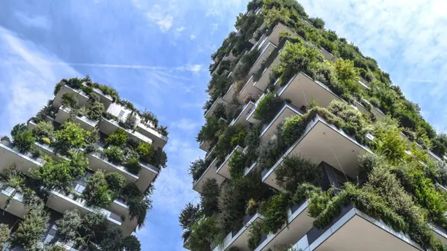 Sustainability Frameworks 1 1024X682